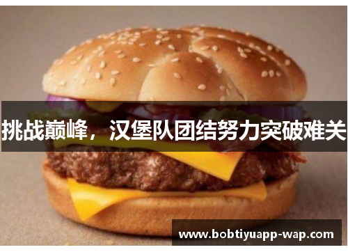 挑战巅峰，汉堡队团结努力突破难关