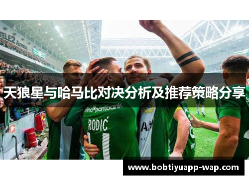 天狼星与哈马比对决分析及推荐策略分享